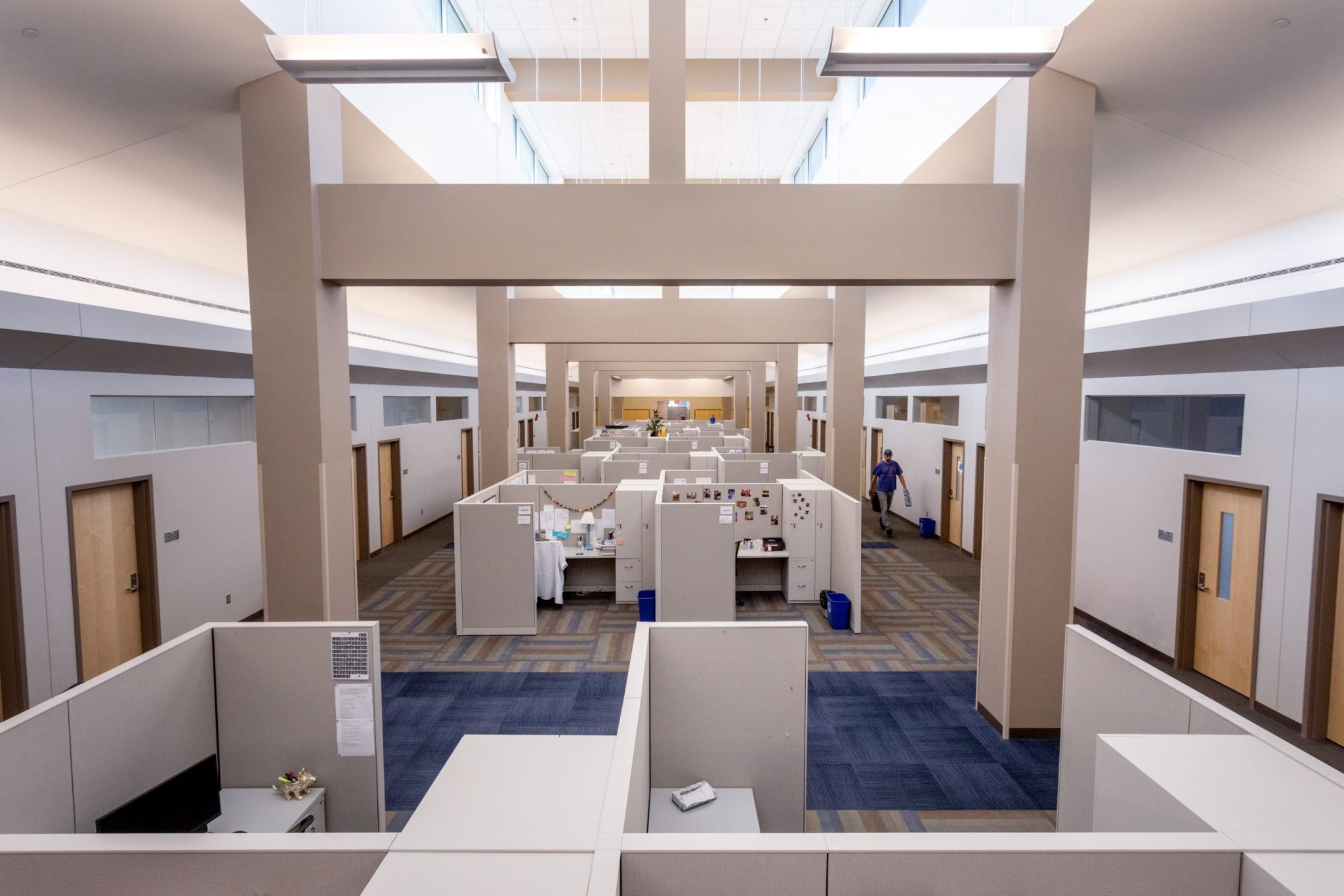 Small Animal Clinic & Teaching Hospital Auburn Veterinary Medicine