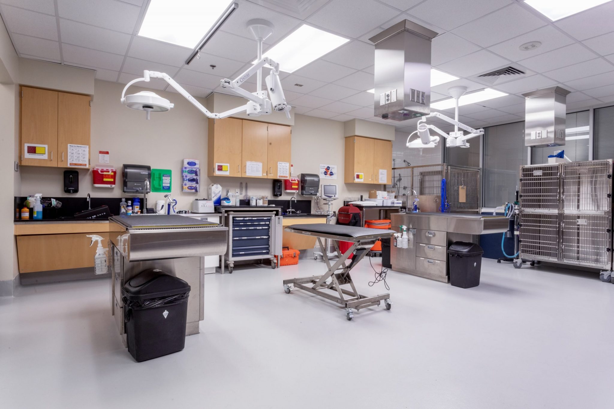 Small Animal Clinic & Teaching Hospital Auburn Veterinary Medicine Virtual Tour