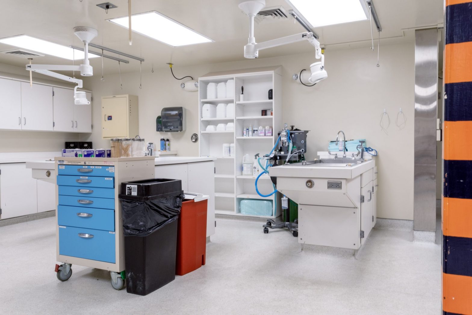 Small Animal Clinic & Teaching Hospital Auburn Veterinary Medicine