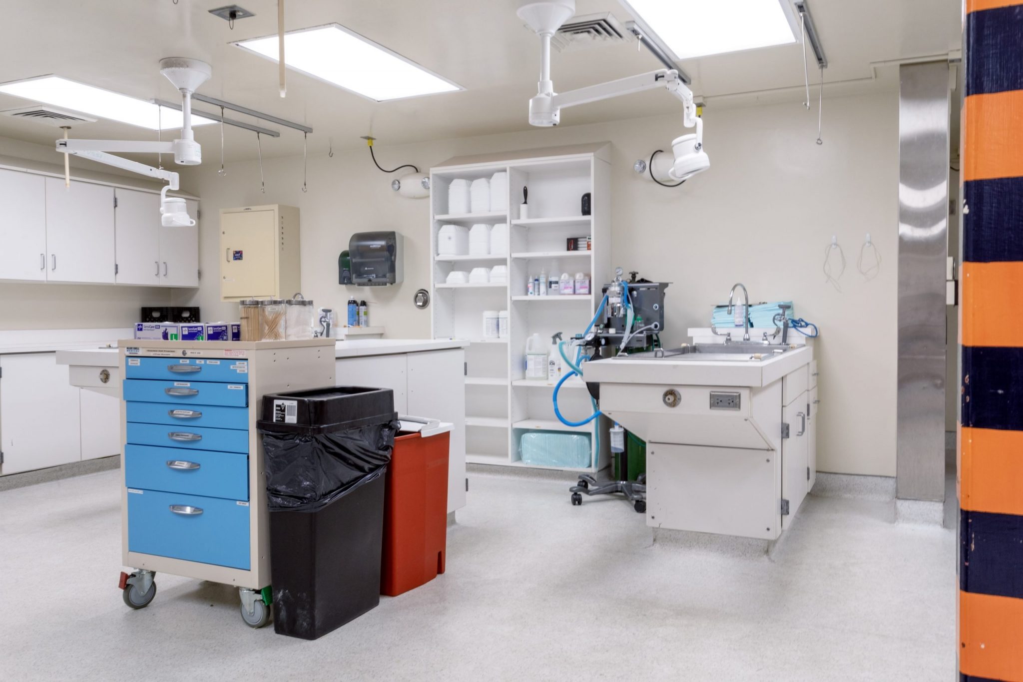 Small Animal Clinic & Teaching Hospital Auburn Veterinary Medicine