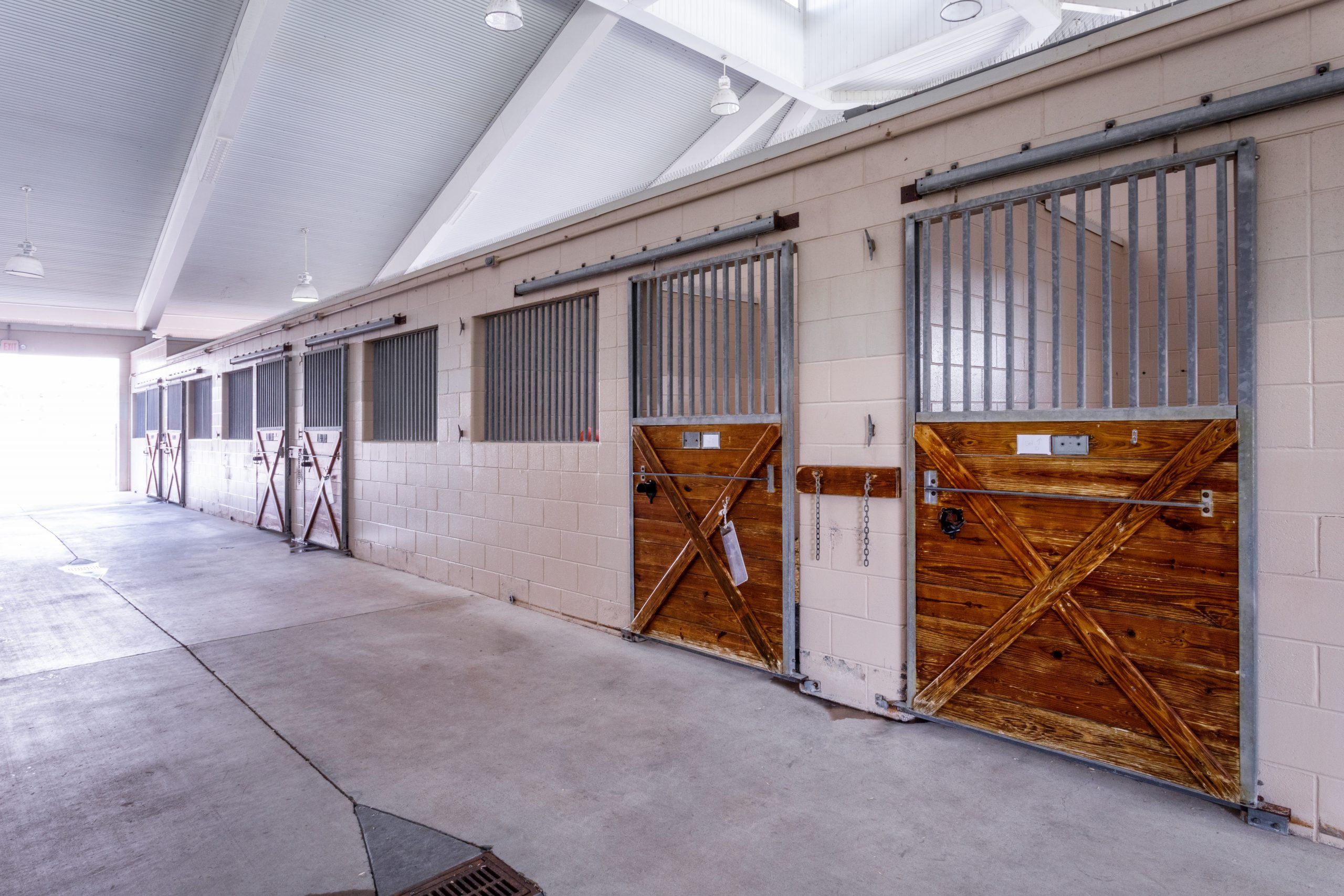 Large Animal Teaching Hospital | Auburn Veterinary Medicine Virtual Tour Large Animal Teaching Hospital | Auburn Veterinary Medicine Virtual Tour
