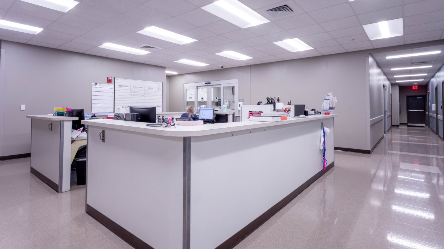 Gulf Shores Veterinary Specialists | Auburn Veterinary Medicine Virtual Tour